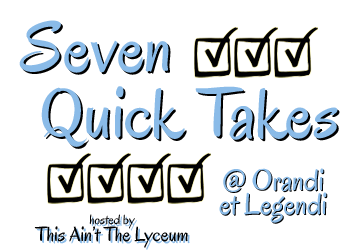 Seven Quick Takes